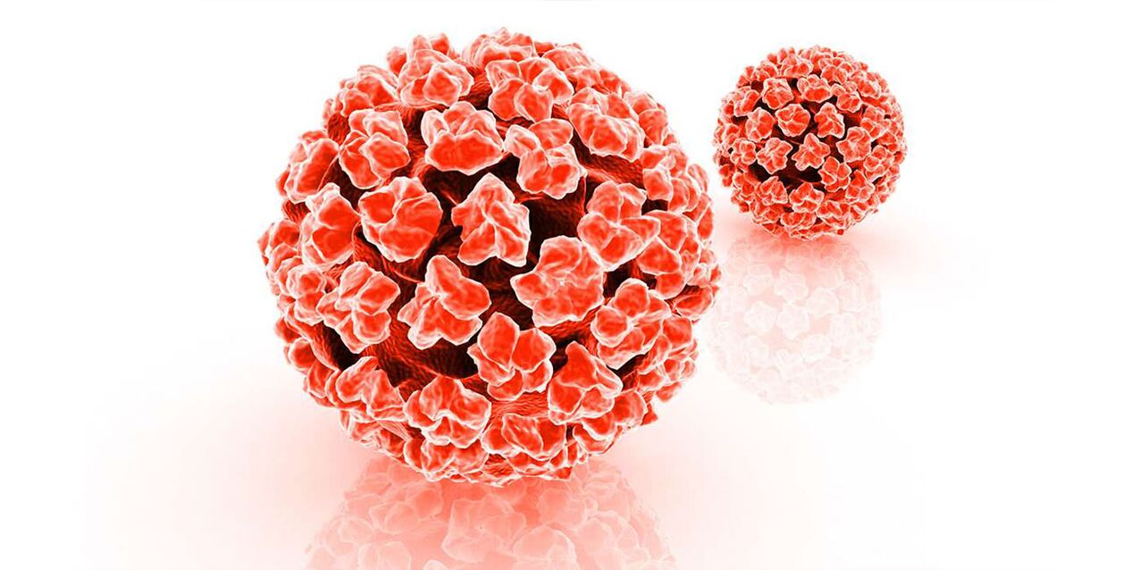Die Gefahr des humanen Papillomavirus