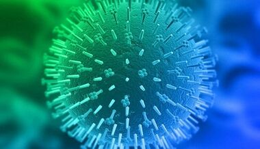 Infektionswege des humanen Papillomavirus