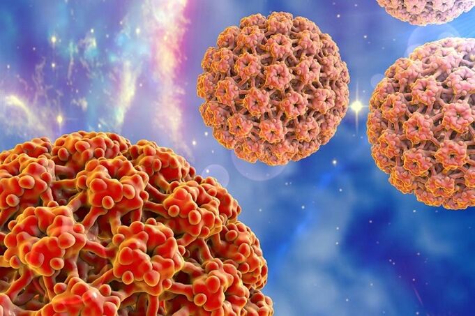 Molekül des humanen Papillomavirus