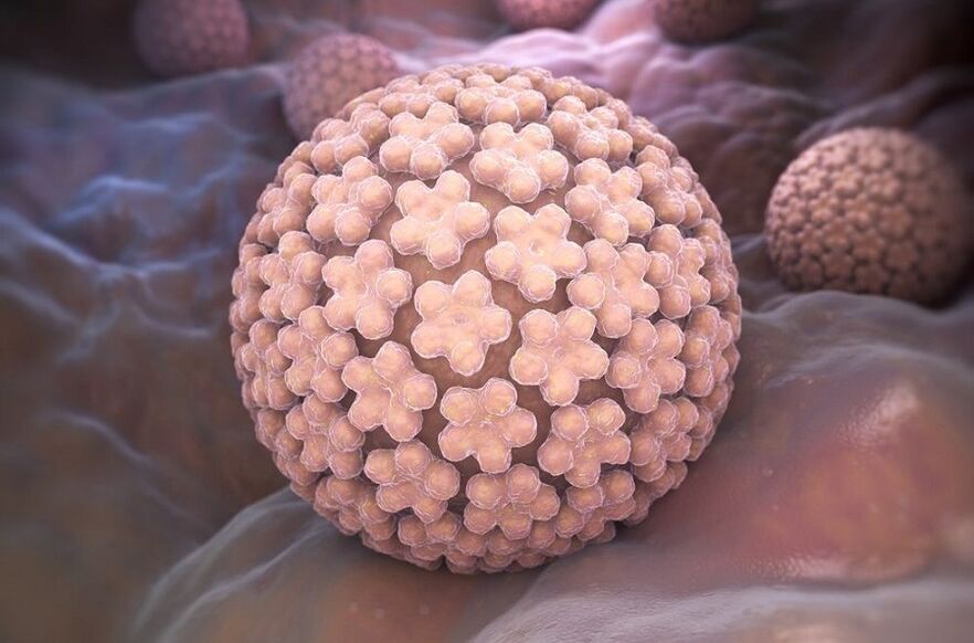 menschliches Papillomavirus, das Warzen verursacht
